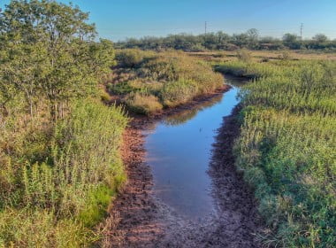 165 acres in Wilbarger County