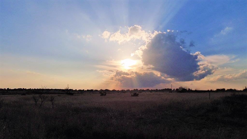 11 acres in Taylor County Texas Hunting Land LLC