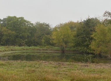 157 acres in Red River County