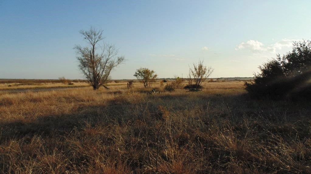 11 acres in Taylor County
