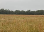 199 acres in Red River County