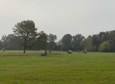 42 acres in Red River County