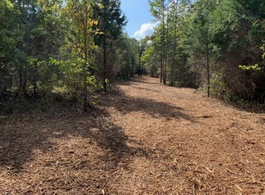 9 acres in Camp County