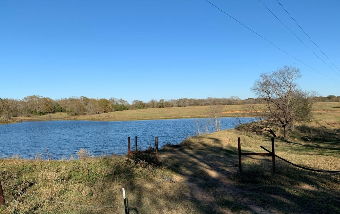 86 acres in Titus County