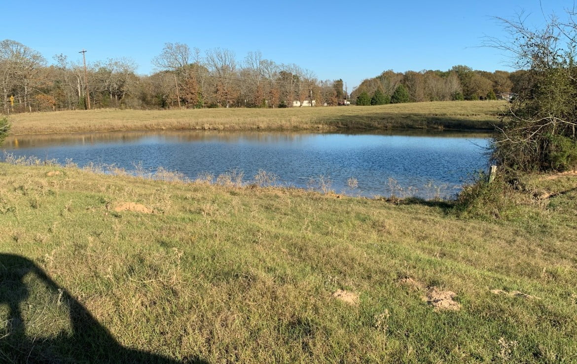 86 acres in Titus County