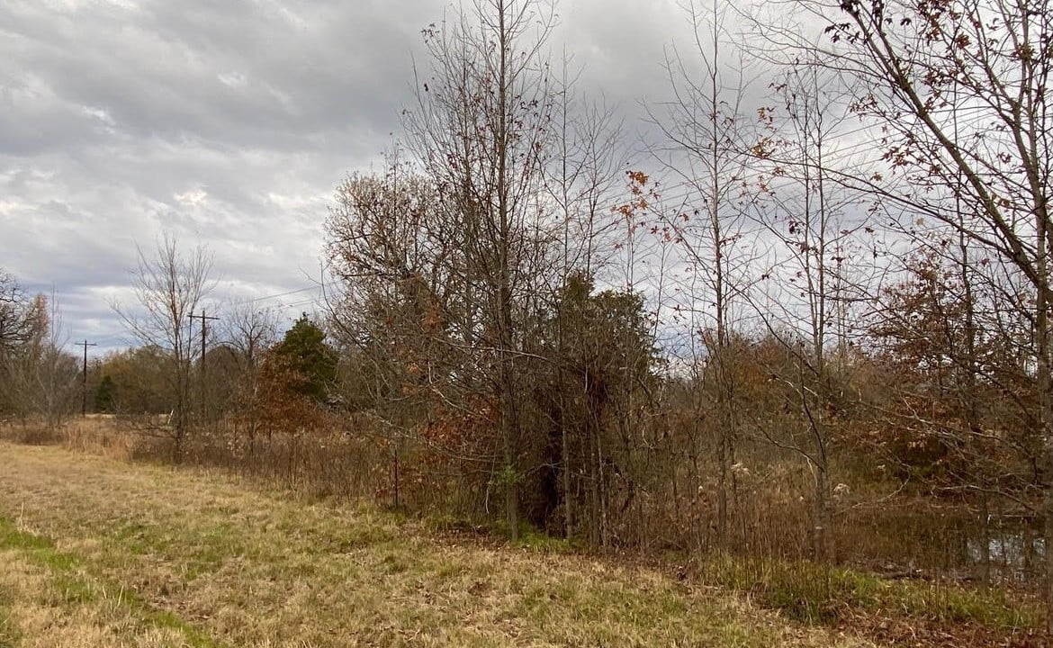 2 acres in Titus County