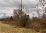 2 acres in Titus County