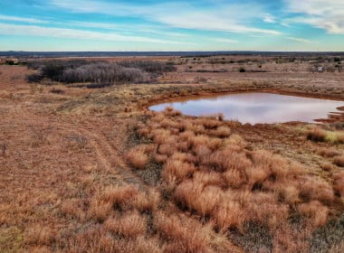 80 acres in Foard County