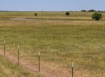 55 acres in Clay County