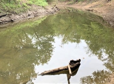 66 acres in Red River County