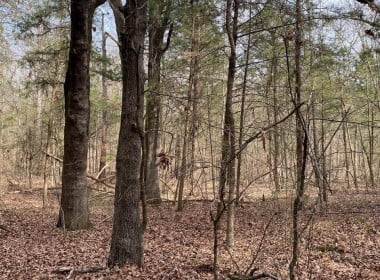8 acres in Morris County
