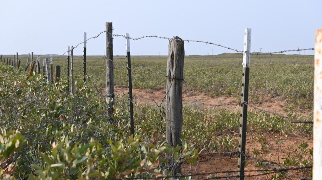 West Texas Land for Sale Texas Hunting Land LLC