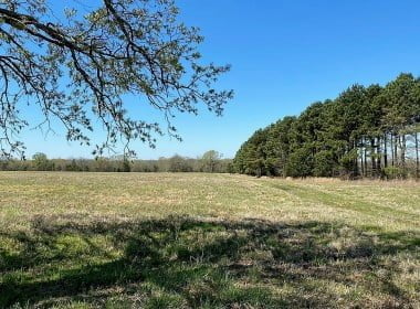 14 acres in Red River County
