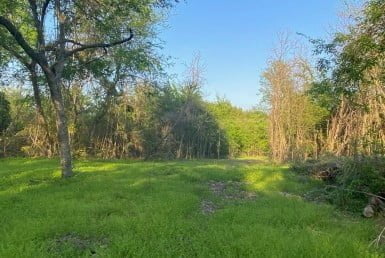 11 acres in Titus County