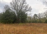 21 acres in Titus County