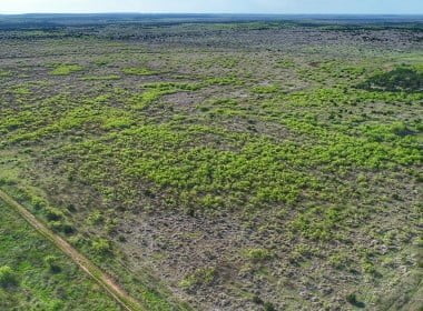 214 acres in Foard County