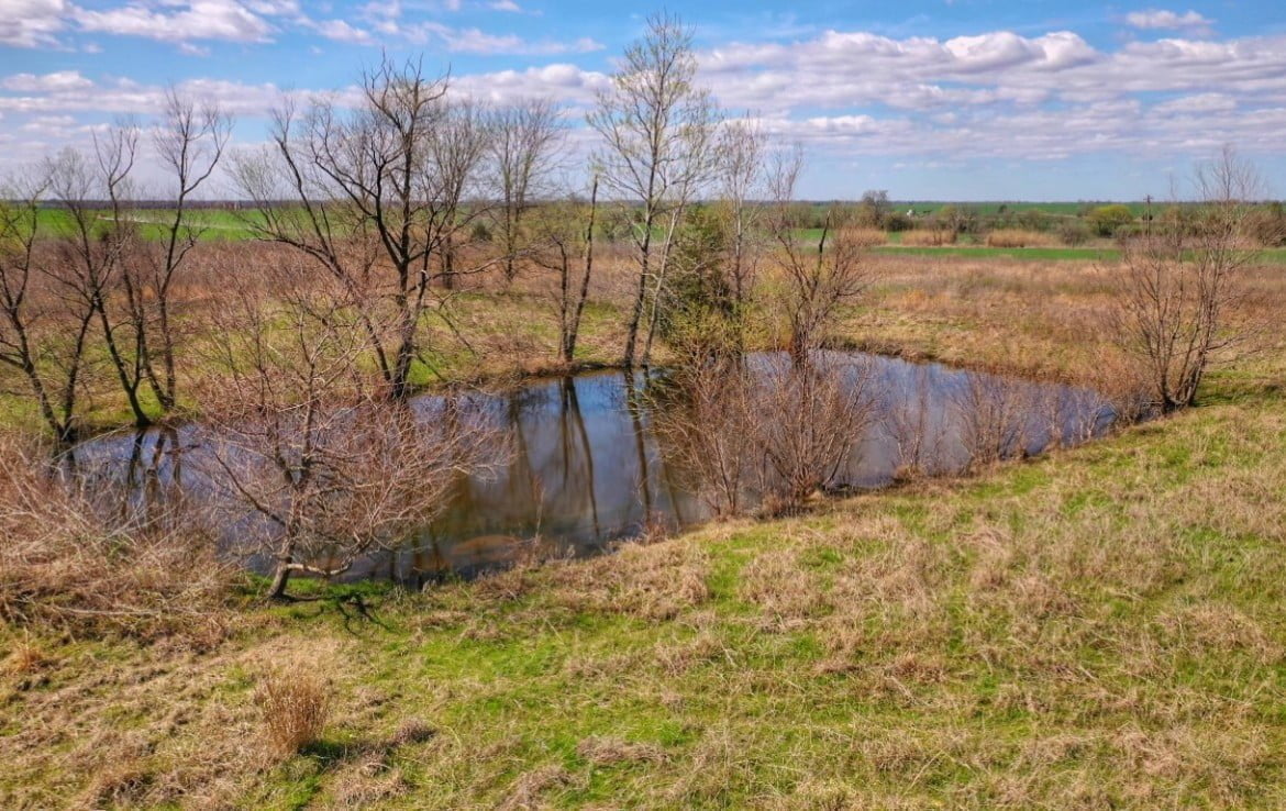 110 acres in Red River County