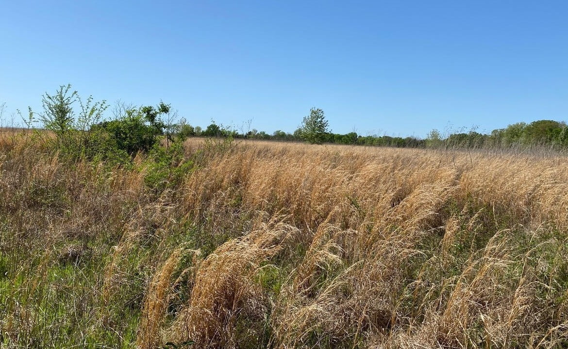 164 acres in Red River County