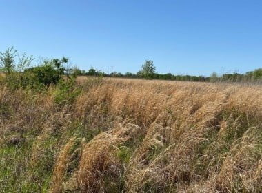 164 acres in Red River County