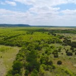 95 acres in Taylor County