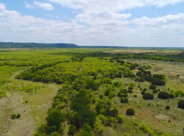 95 acres in Taylor County