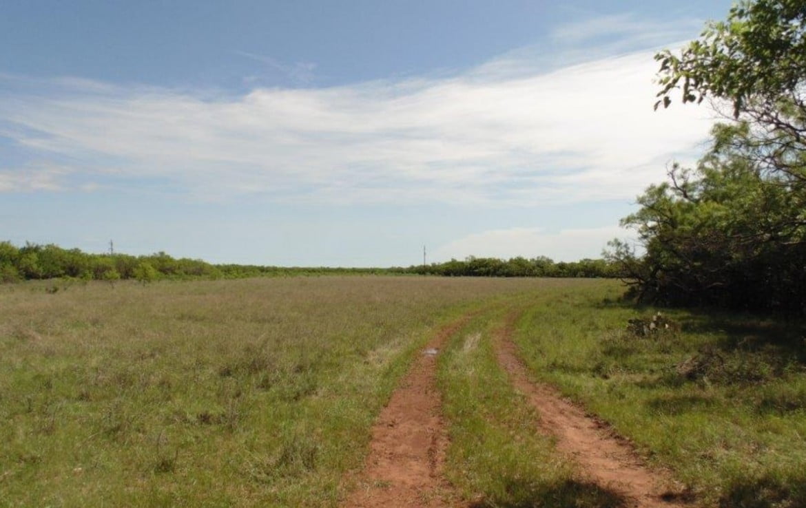 250 acres in Taylor County
