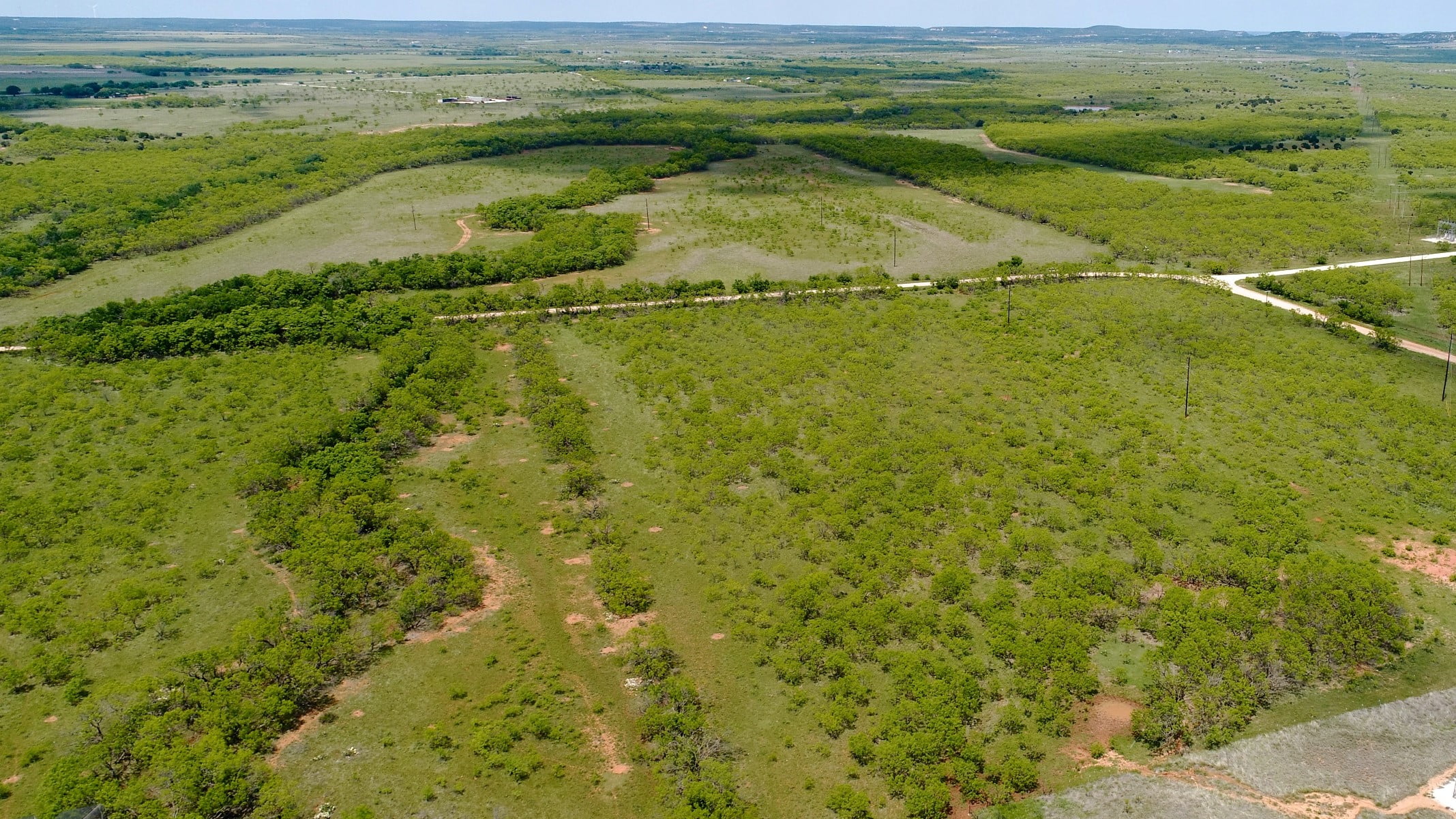 250 acres in Taylor County Texas for Sale
