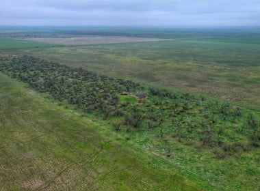 319 acres in Foard County