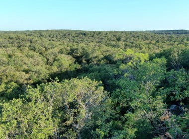 165 acres in Young County