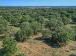 428 acres in Young County