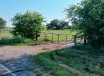 165 acres in Young County