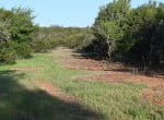 200 acres in Young County