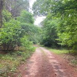 149 acres in Red River County
