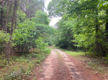 149 acres in Red River County