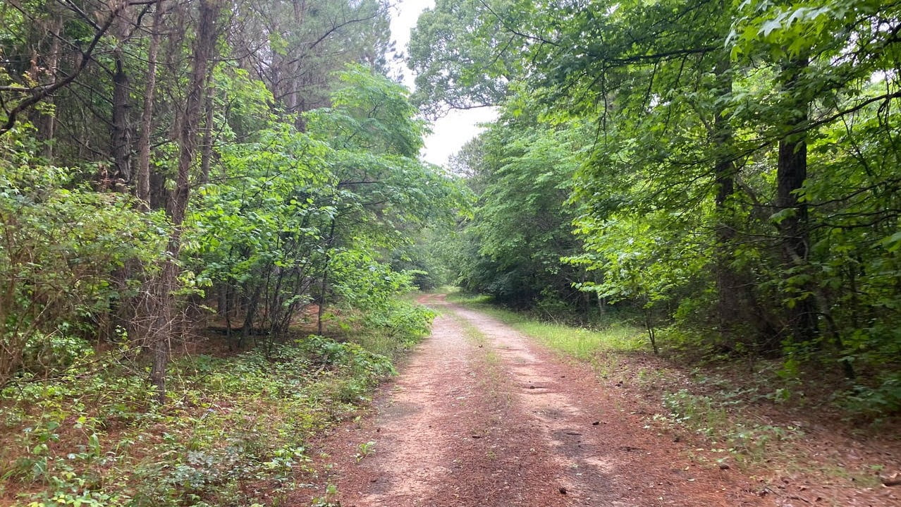 149 acres in Red River County Texas for Sale