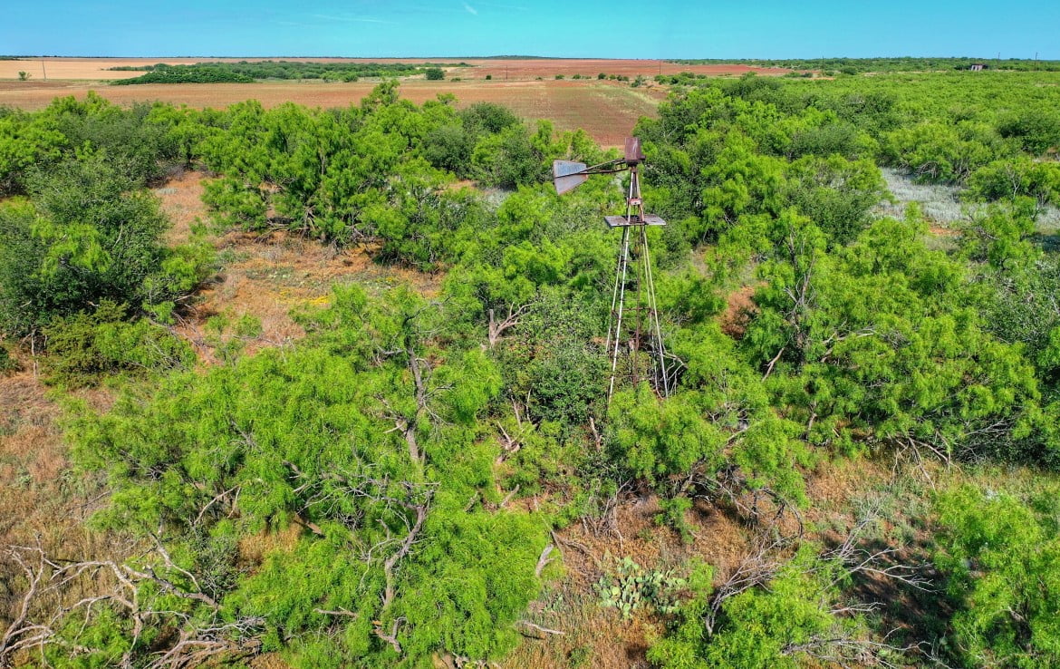 955 acres in Cottle County