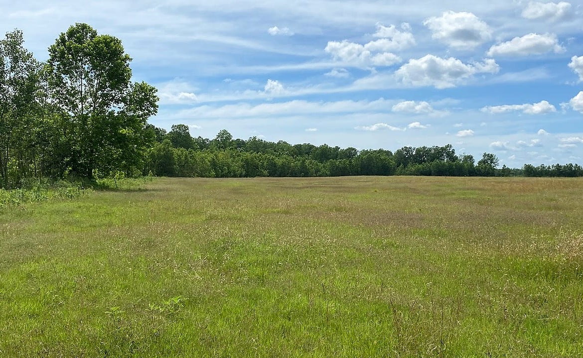1,000 acres in McCurtain County