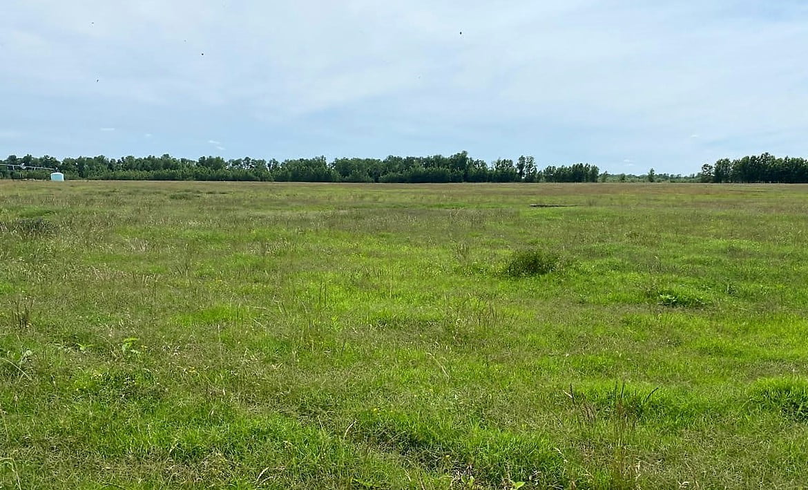 1,000 acres in McCurtain County