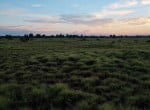 300 acres in King County