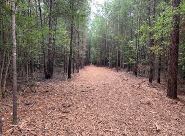 21 acres in Bowie County