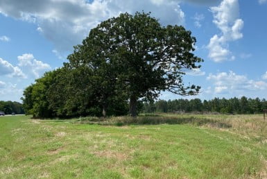 5 acres in Red River County