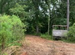 58 acres in Bowie County