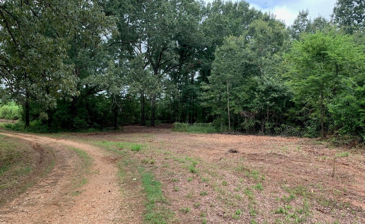 37 acres in Bowie County