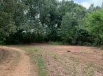 37 acres in Bowie County