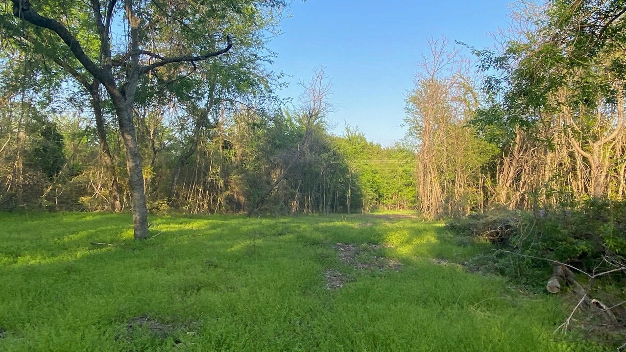 5 acres in Titus County Texas for Sale