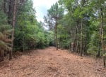 21 acres in Bowie County