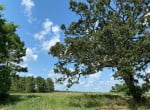 5 acres in Red River County