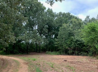 58 acres in Bowie County