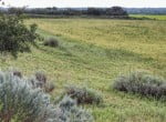 200 acres in King County