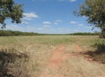 85 acres in Taylor County
